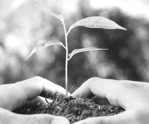 Growing responsibly